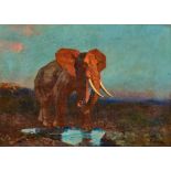 SURAND, GUSTAVE: Elefant im Abendrot.