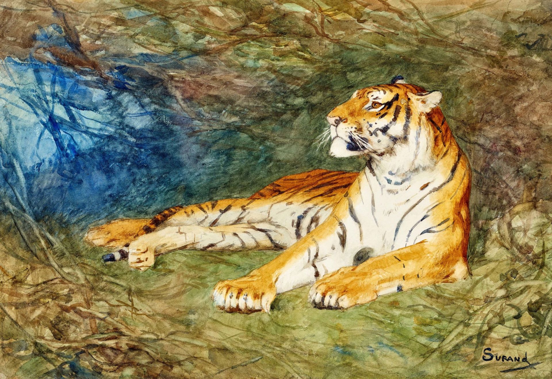 SURAND, GUSTAVE: Liegender Tiger.