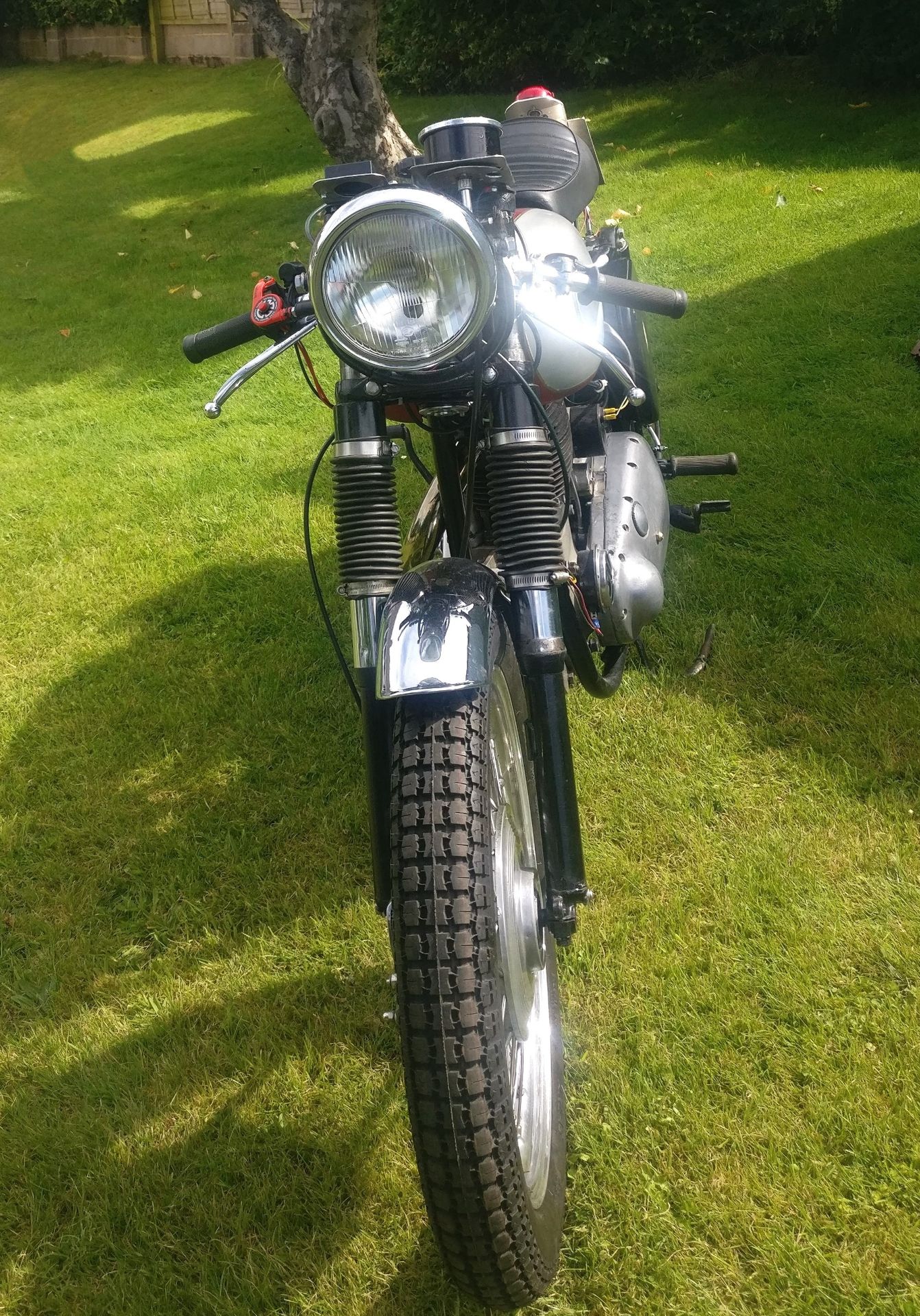 1956 BSA B31 Registration Number: 743 XWA Frame Number: TBA A fresh design for the post-war period - Image 3 of 3