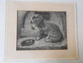 A PENCIL DRAWING OF DOG WAITING TO BE FED, signed and dated Fellows, 1896, in lower left corner 33 x