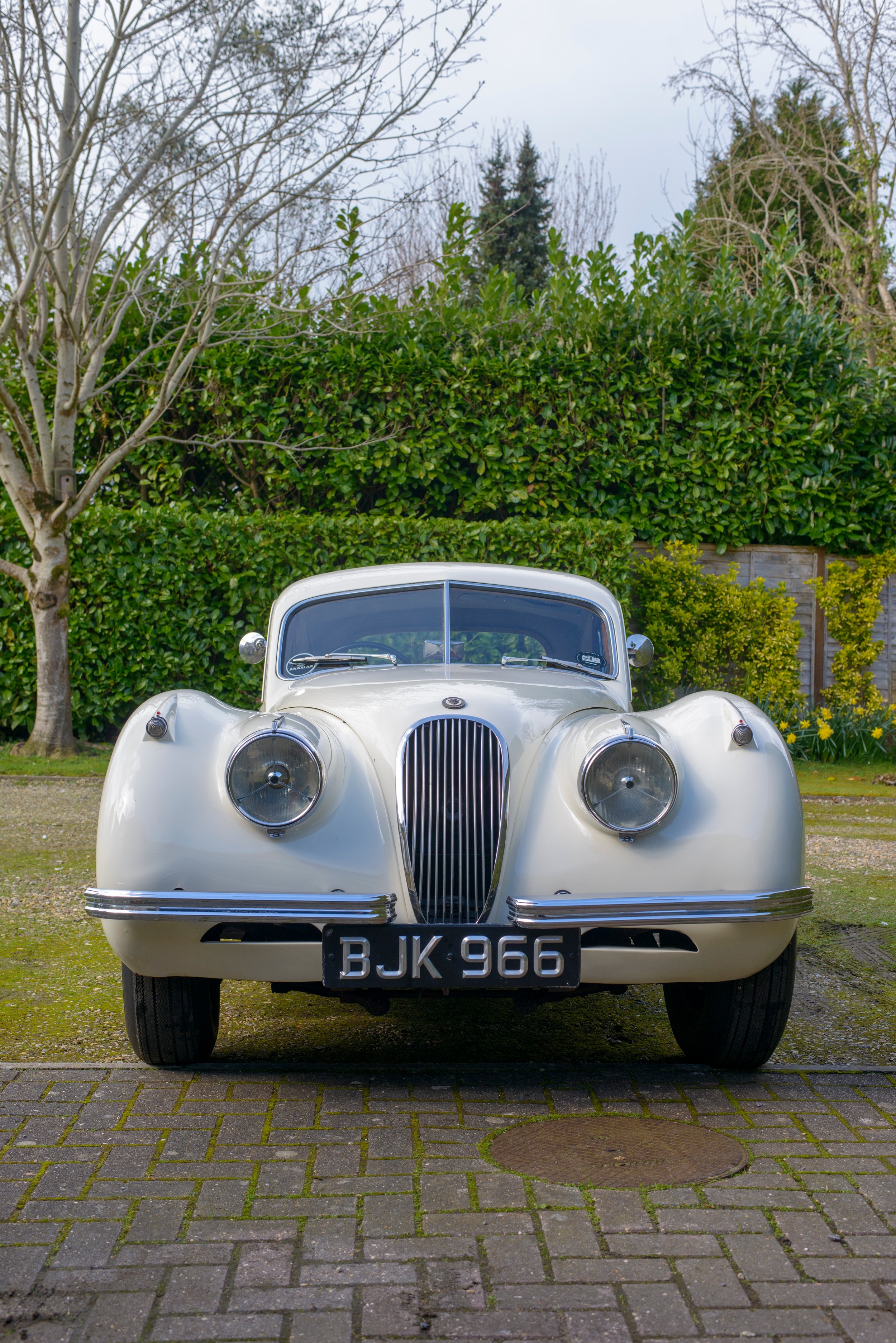 1954 JAGUAR XK120 FIXED HEAD COUPE Registration Number: BJK 966 Chassis Number: 669158 Recorded - Image 3 of 61