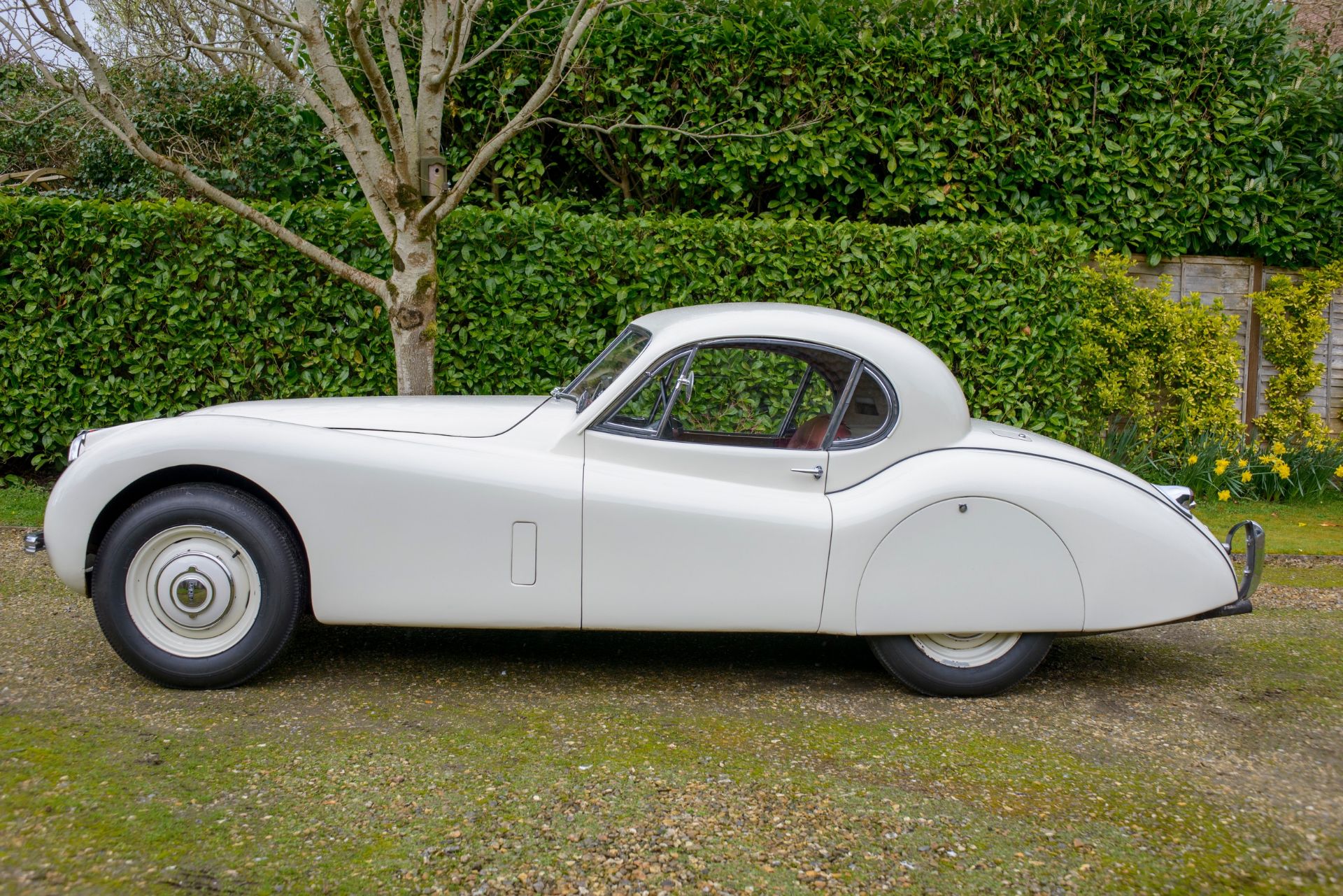 1954 JAGUAR XK120 FIXED HEAD COUPE Registration Number: BJK 966 Chassis Number: 669158 Recorded - Image 11 of 61