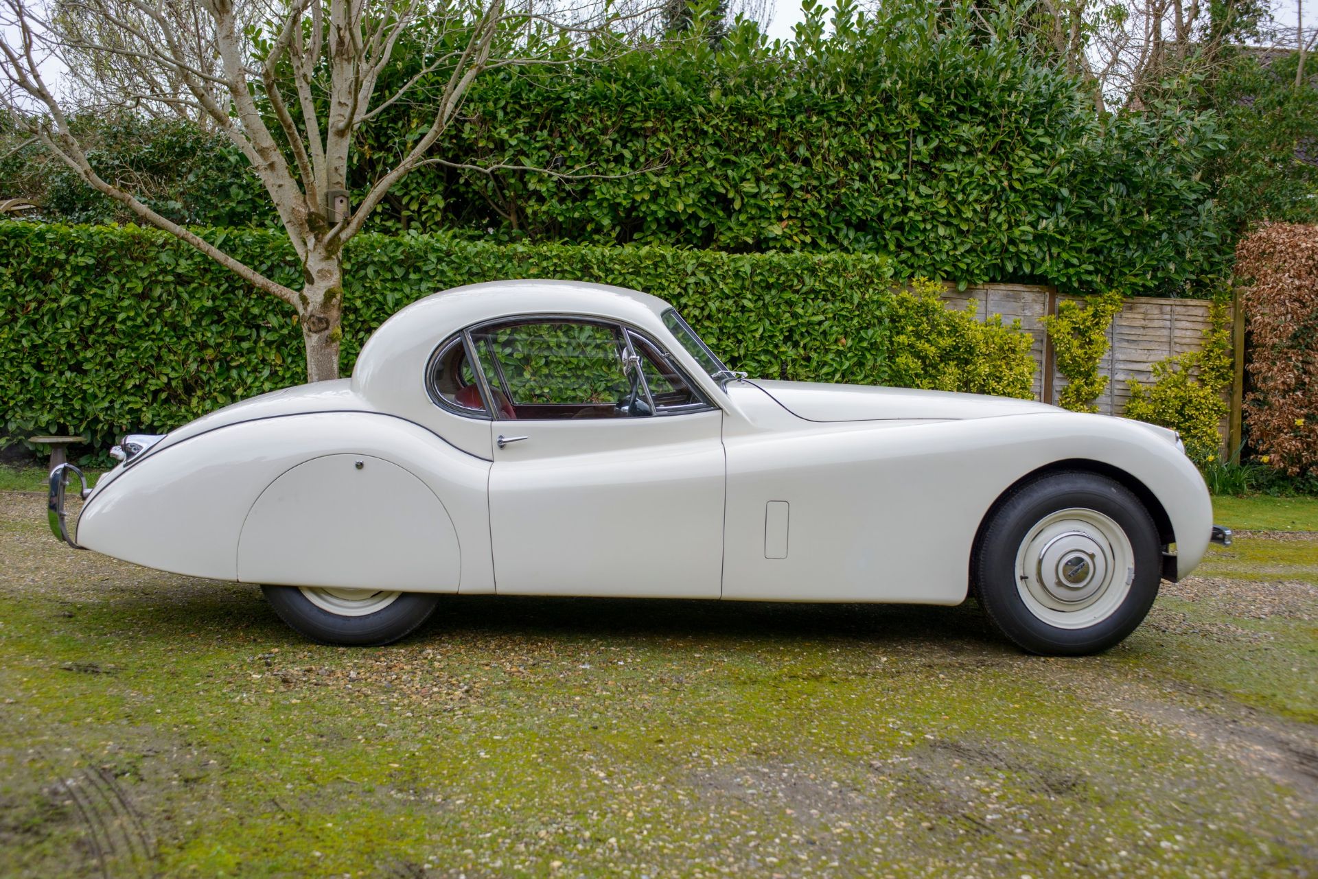 1954 JAGUAR XK120 FIXED HEAD COUPE Registration Number: BJK 966 Chassis Number: 669158 Recorded - Image 6 of 61