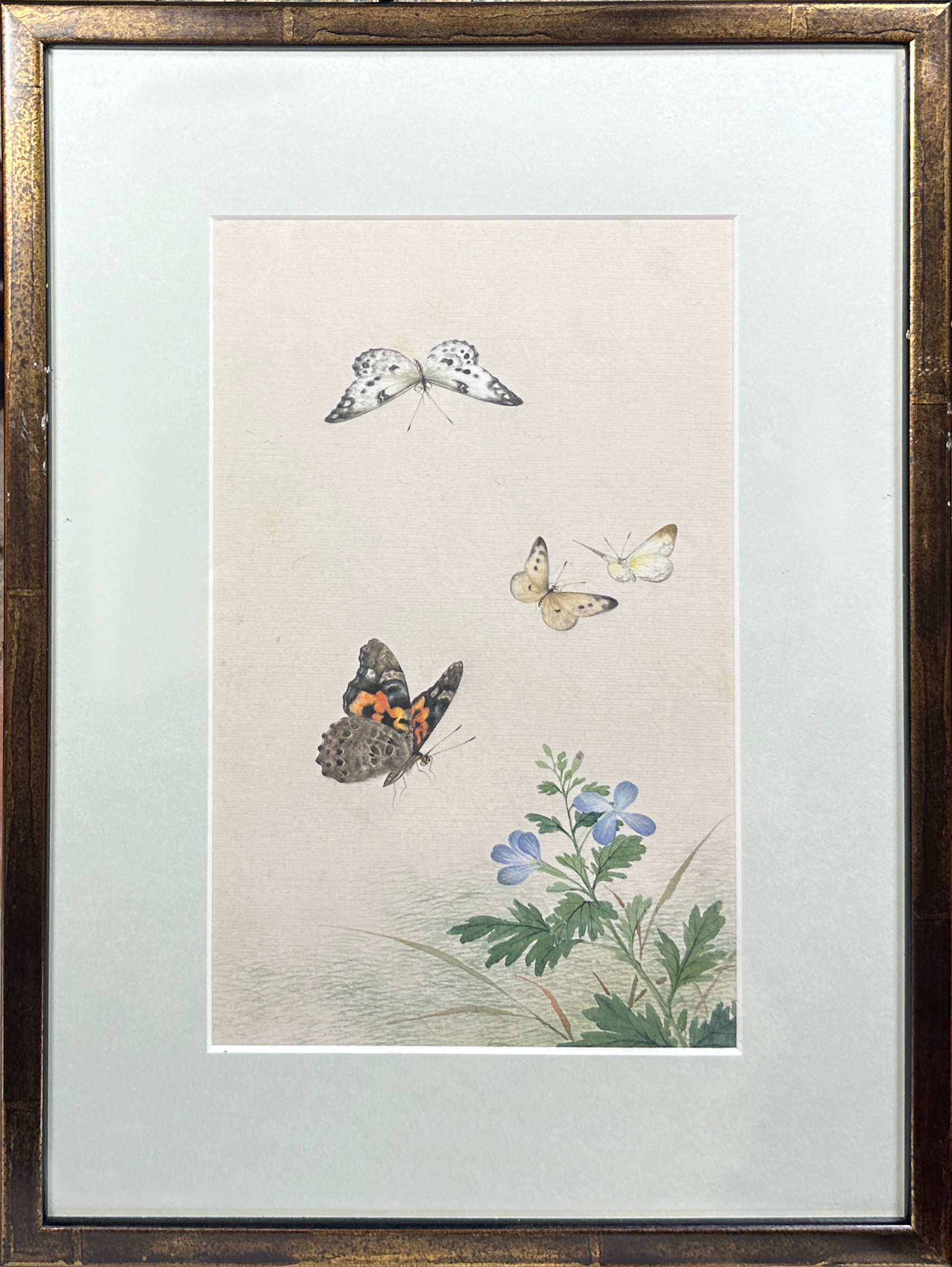 A decorative set of 10 Chinese watercolours framed depicting butterflies amongst foliage (10), (25 x - Image 7 of 12