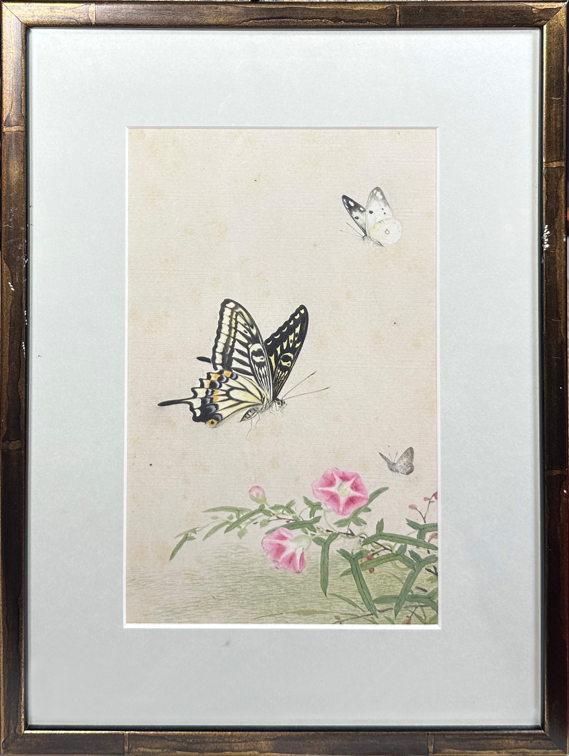 A decorative set of 10 Chinese watercolours framed depicting butterflies amongst foliage (10), (25 x - Image 10 of 12