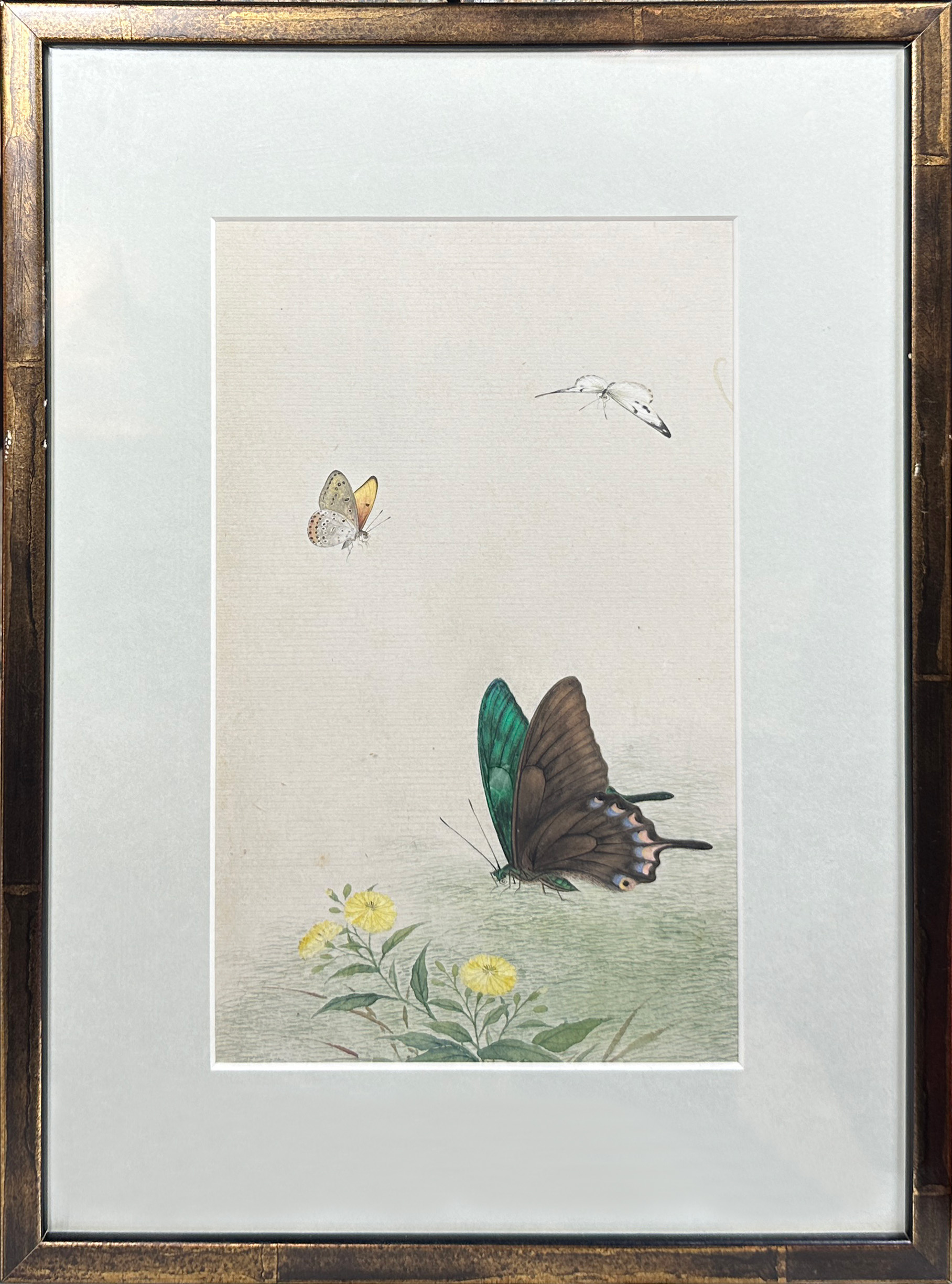 A decorative set of 10 Chinese watercolours framed depicting butterflies amongst foliage (10), (25 x - Image 3 of 12