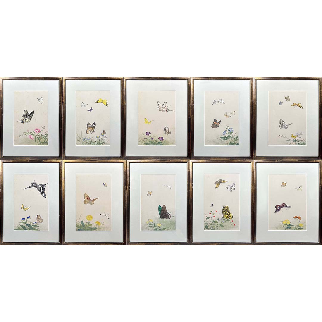 A decorative set of 10 Chinese watercolours framed depicting butterflies amongst foliage (10), (25 x