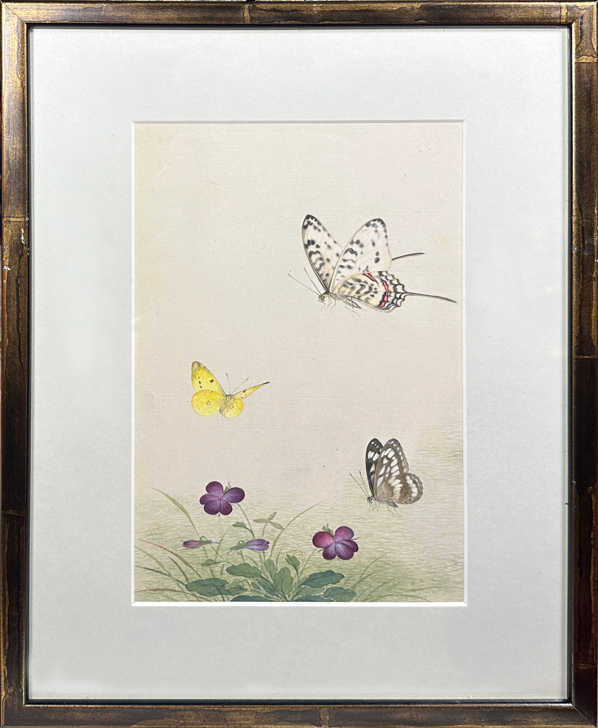 A decorative set of 10 Chinese watercolours framed depicting butterflies amongst foliage (10), (25 x - Image 8 of 12