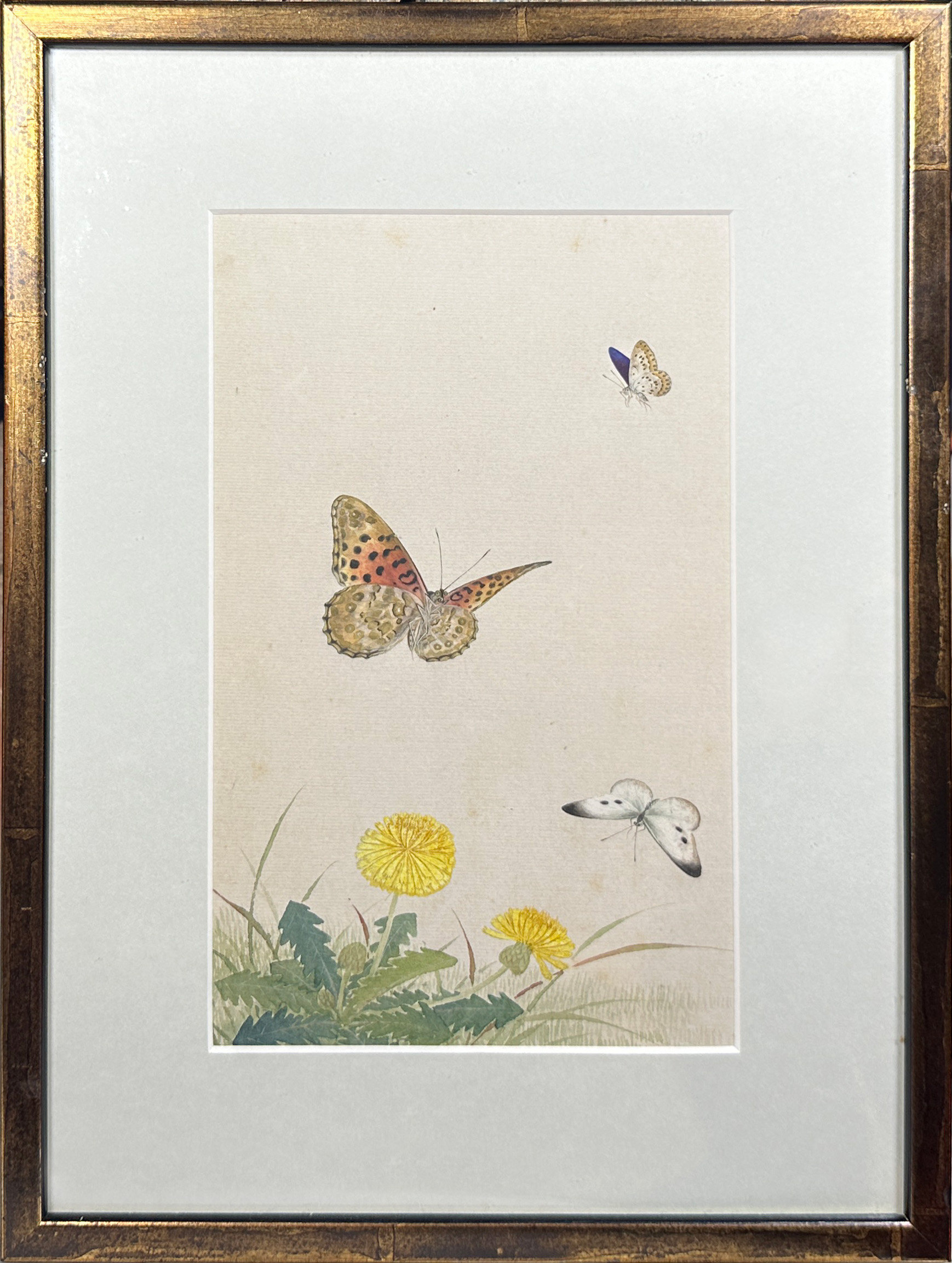 A decorative set of 10 Chinese watercolours framed depicting butterflies amongst foliage (10), (25 x - Image 4 of 12