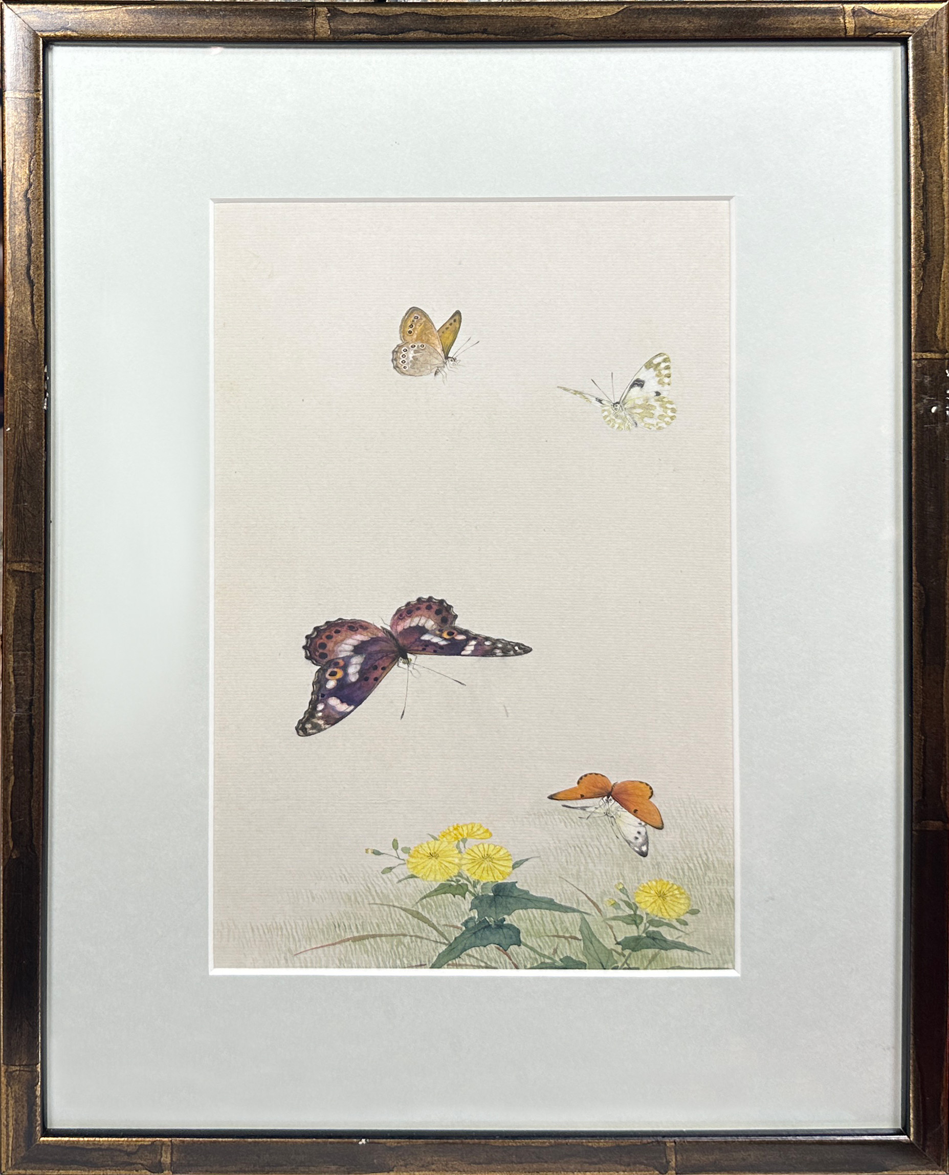 A decorative set of 10 Chinese watercolours framed depicting butterflies amongst foliage (10), (25 x - Image 11 of 12