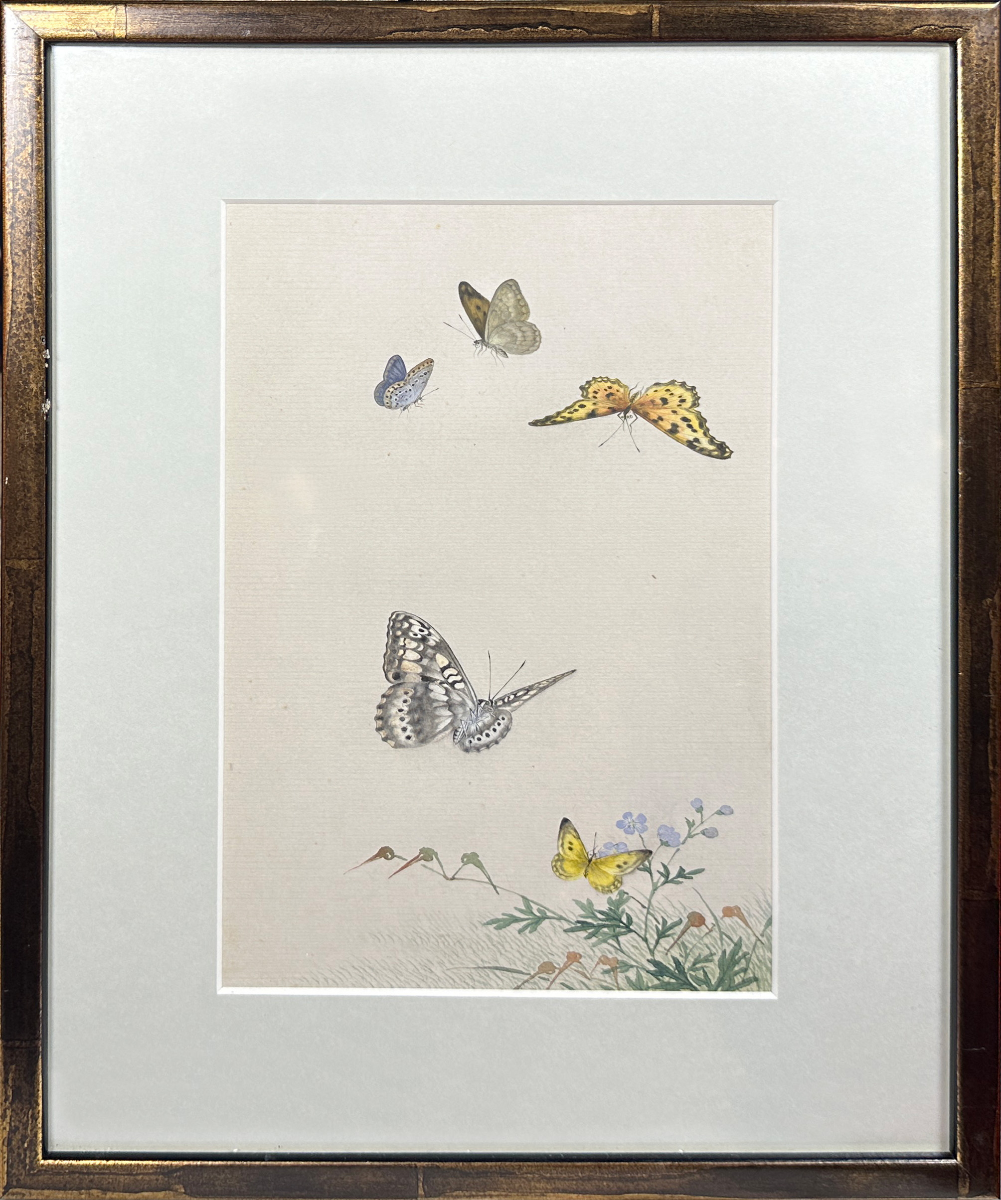 A decorative set of 10 Chinese watercolours framed depicting butterflies amongst foliage (10), (25 x - Image 6 of 12