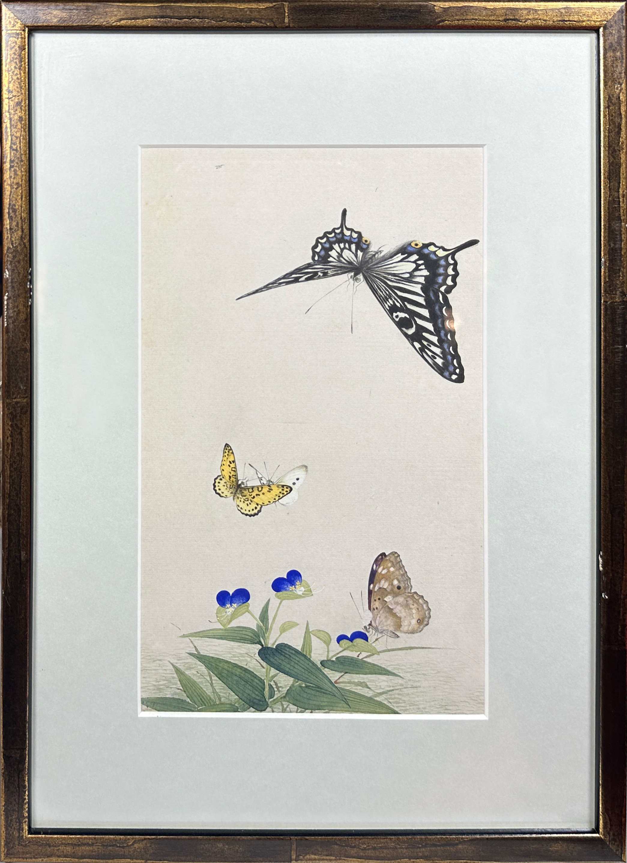 A decorative set of 10 Chinese watercolours framed depicting butterflies amongst foliage (10), (25 x - Image 5 of 12