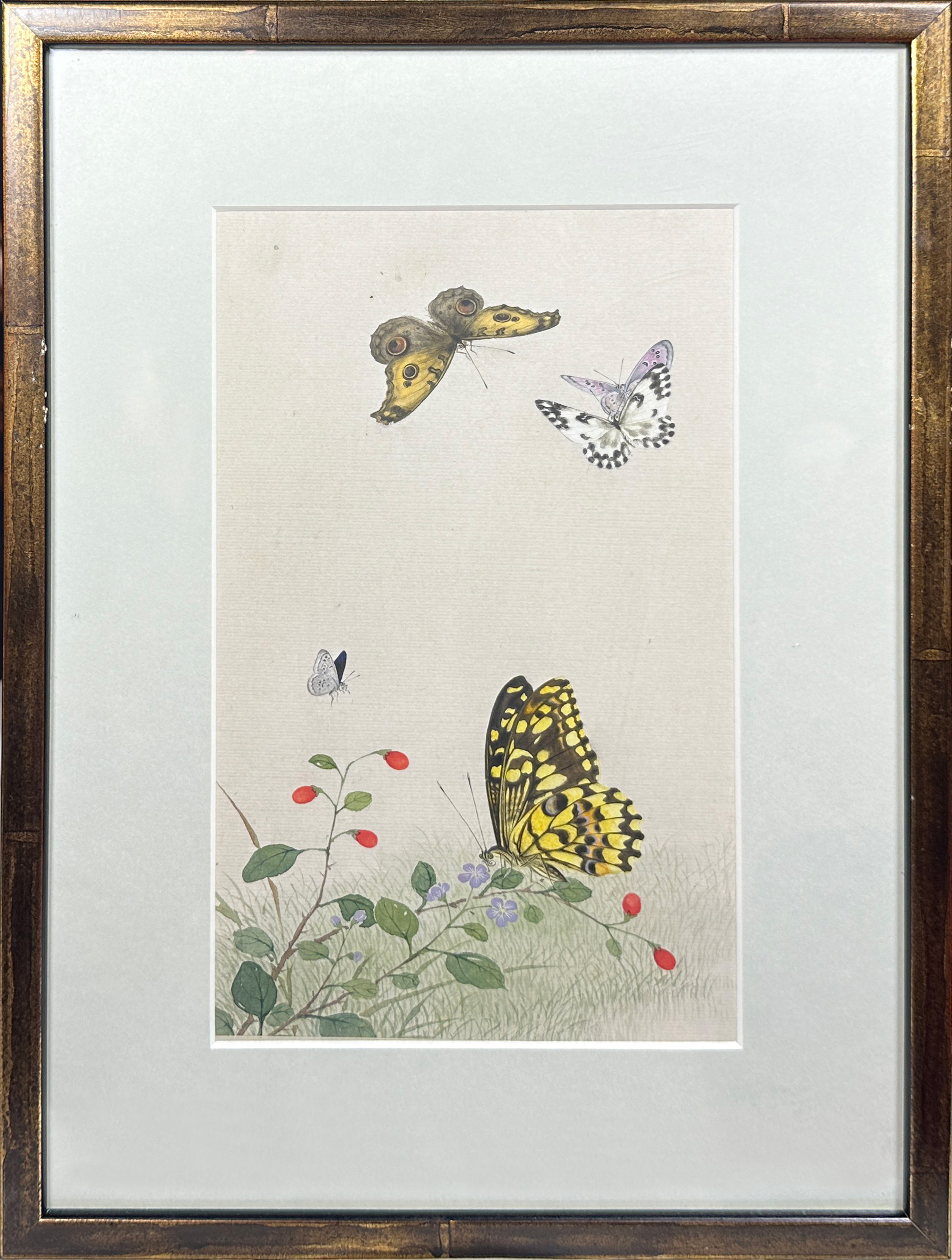 A decorative set of 10 Chinese watercolours framed depicting butterflies amongst foliage (10), (25 x - Image 2 of 12