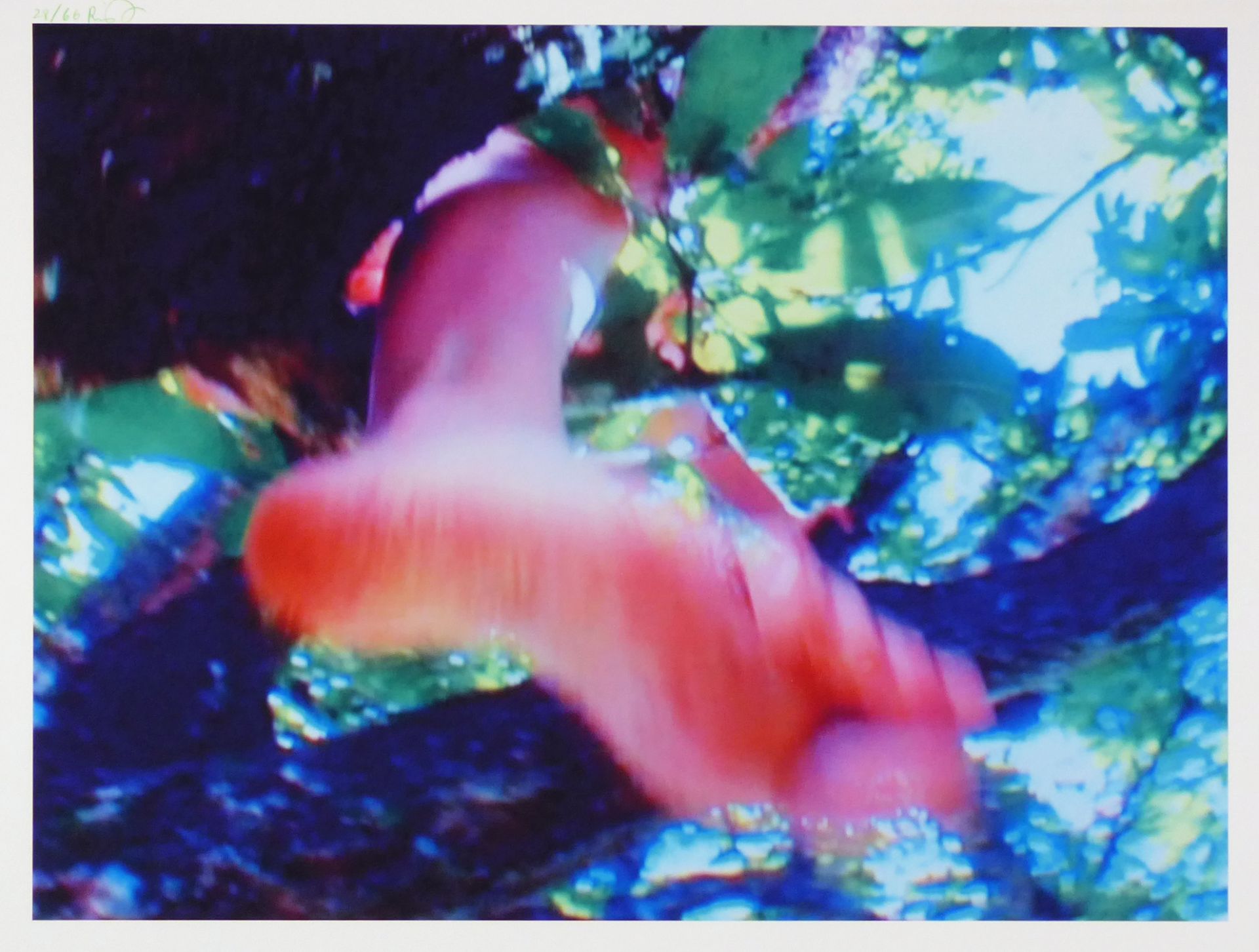 Pippilotti Rist