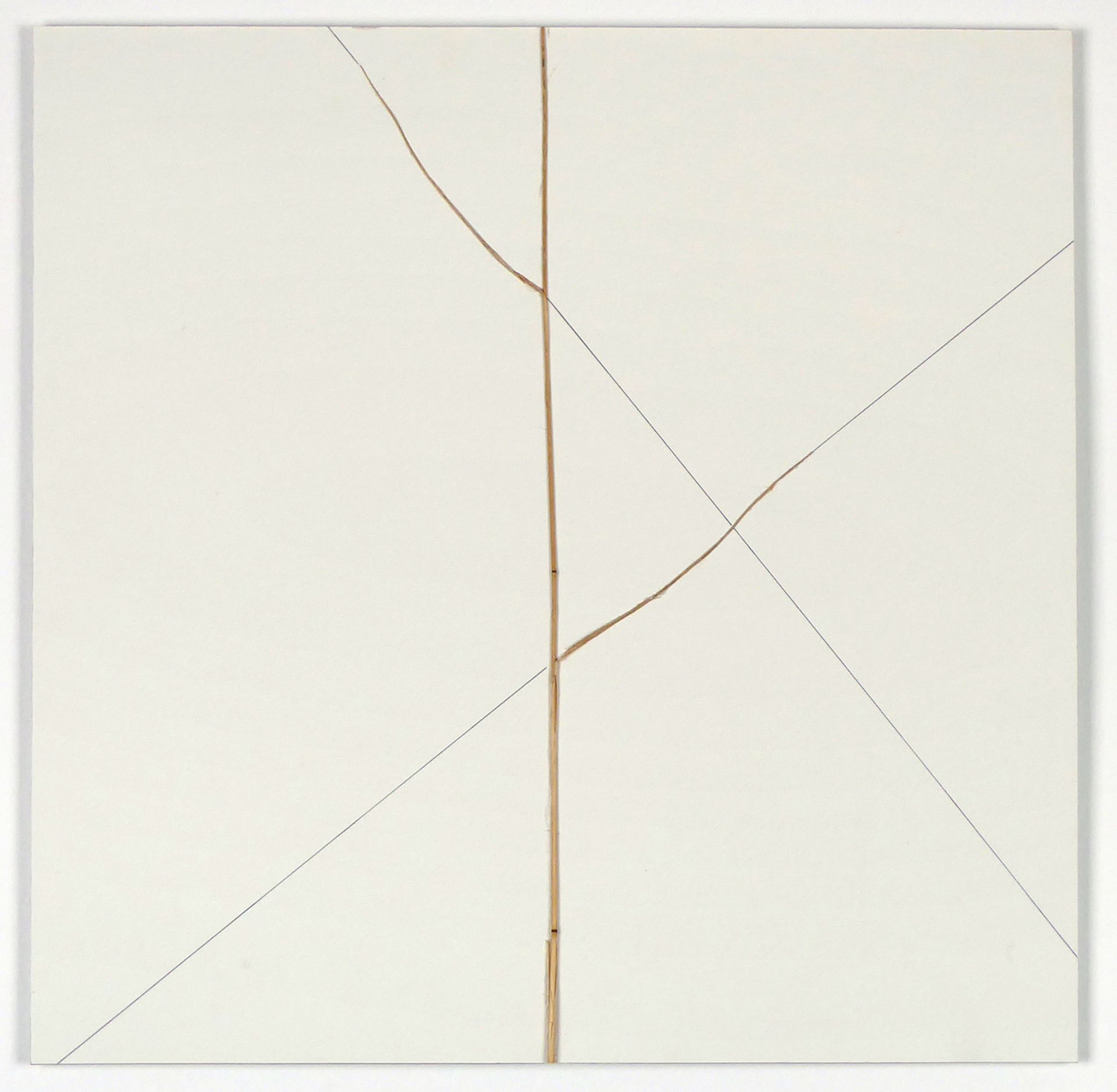 Francois Morellet