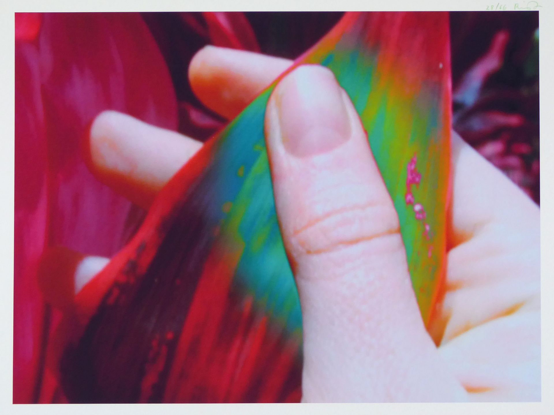 Pippilotti Rist - Bild 3 aus 3