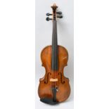 Violine/ violin