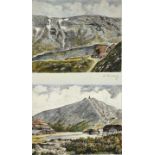 Buchholz: zwei kolorierte Radierungen / two coloured etchings