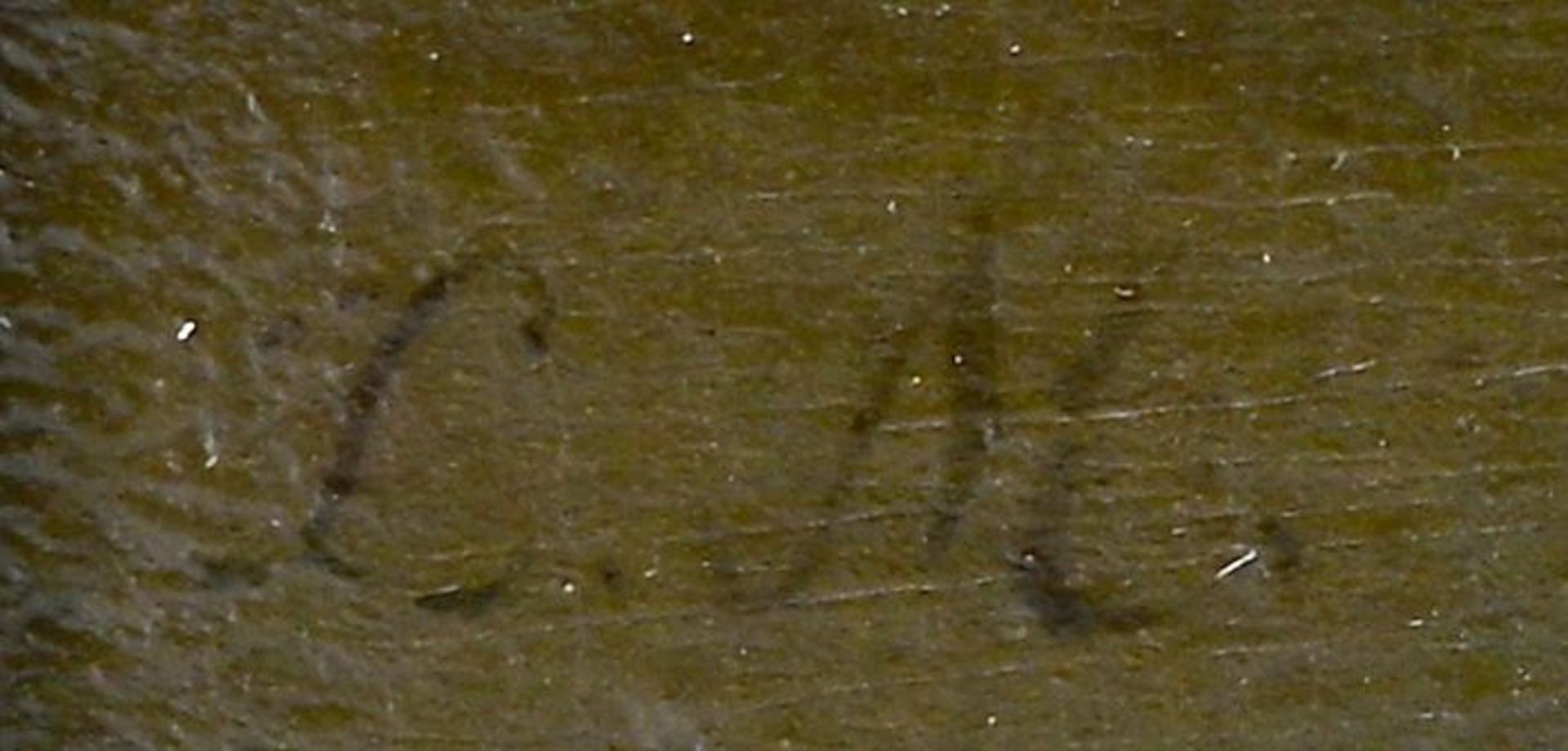 Kopie nach Watteau, Wahrsagerin / Copy after Watteau, Fortune teller - Image 3 of 5