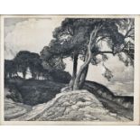 Fischer: Küstenlandschaft/ etching