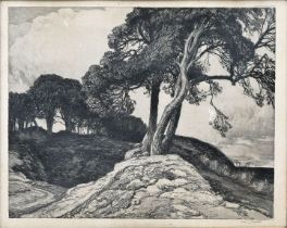 Fischer: Küstenlandschaft/ etching