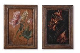 ITALIAN SCHOOL (17/18TH CENTURY), A STUDY OF A POPPY AND NARCISSUS; A STUDY OF LILIES (2)