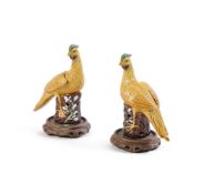 A PAIR OF CHINESE SANCAI GLAZED LONG TAIL BIRDSQING DYNASTY OR LATER Glued to terracotta stands18