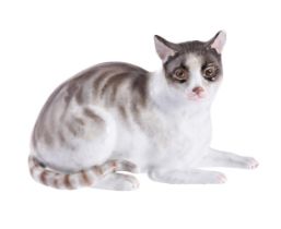 A MEISSEN MODEL OF RECUMBENT CAT