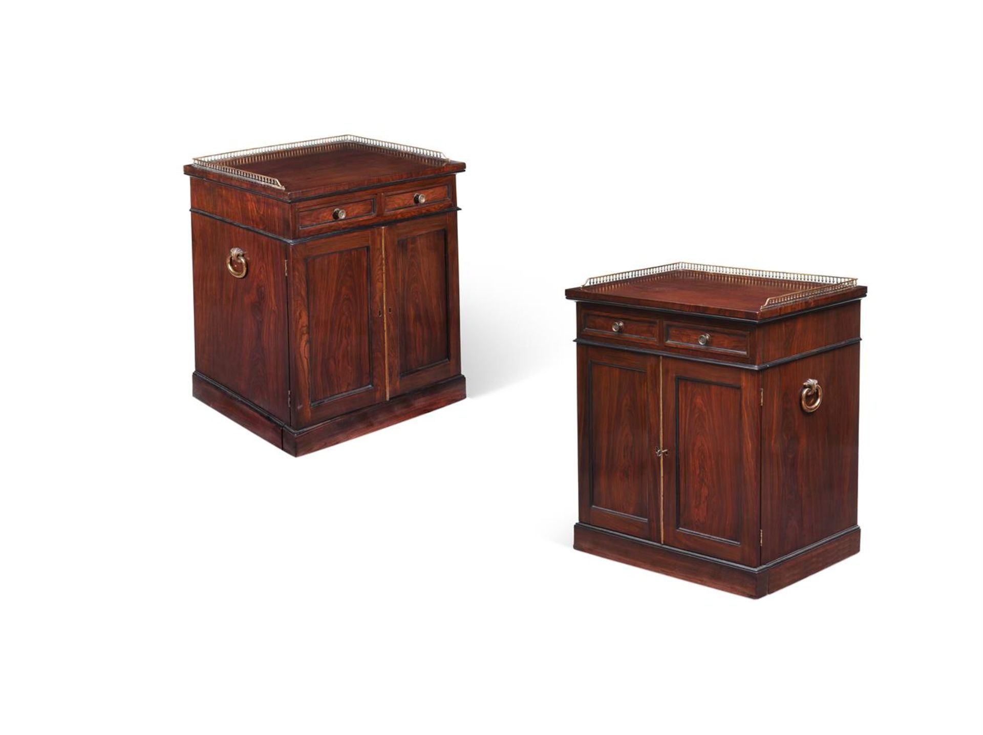 Y A RARE PAIR OF REGENCY EXOTIC ROSEWOOD, OAK, EBONISED AND BRASS MOUNTED BEDSIDE CABINETS
