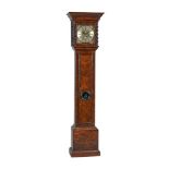 AN INTERESTING PROVINCIAL PARQUETRY DECORATED WALNUT SMALL THIRTY-HOUR LONGCASE CLOCK