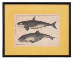 A COLLECTION OF WHALING COLOURED LITHOGRAPHS AND ETCHINGS (8)