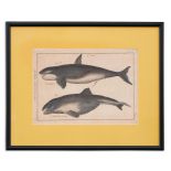 A COLLECTION OF WHALING COLOURED LITHOGRAPHS AND ETCHINGS (8)