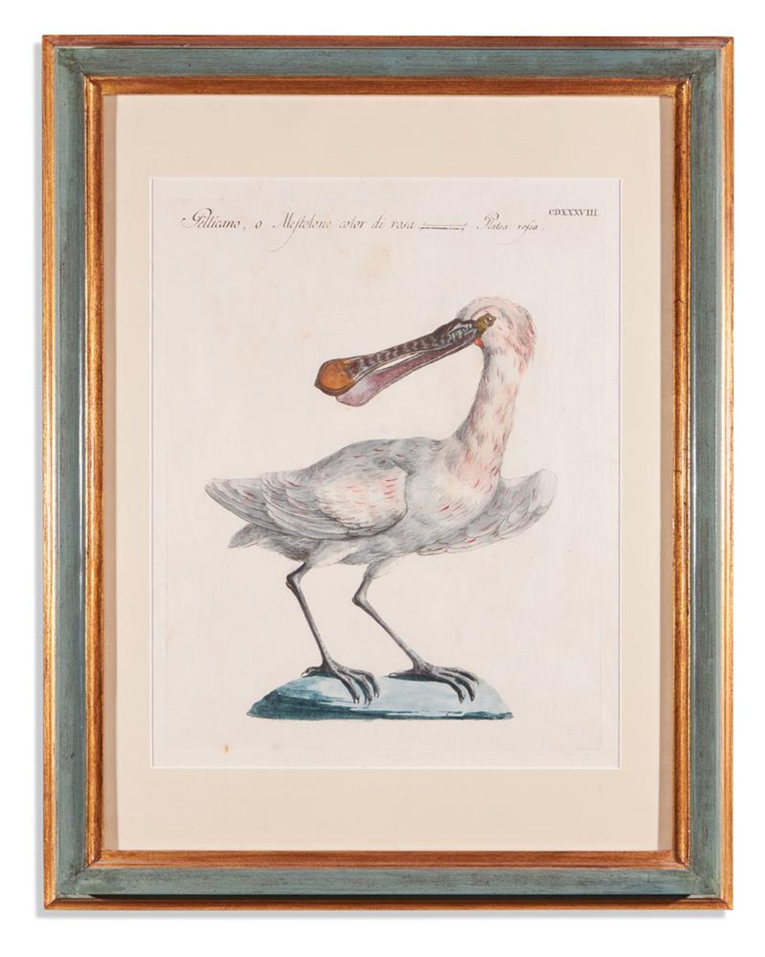 SAVERIO MANETTI (ITALIAN 1723 - 1784), TWELVE BIRDS FROM 'A NATURAL HISTORY OF BIRDS' - Bild 3 aus 12