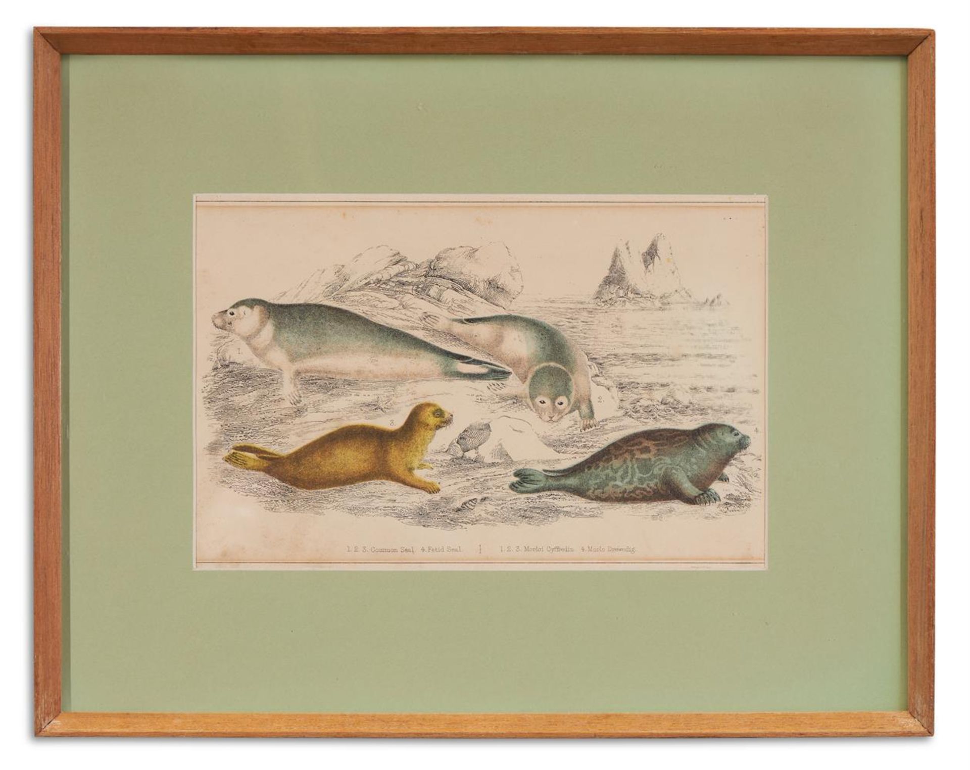 A COLLECTION OF WHALING COLOURED LITHOGRAPHS AND ETCHINGS (8) - Image 3 of 9