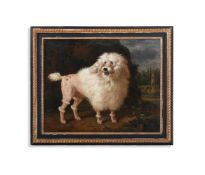 CIRCLE OF JEAN-BAPTISTE OUDRY (FRENCH 1686-1755), PORTRAIT OF A POODLE