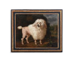 CIRCLE OF JEAN-BAPTISTE OUDRY (FRENCH 1686-1755), PORTRAIT OF A POODLE