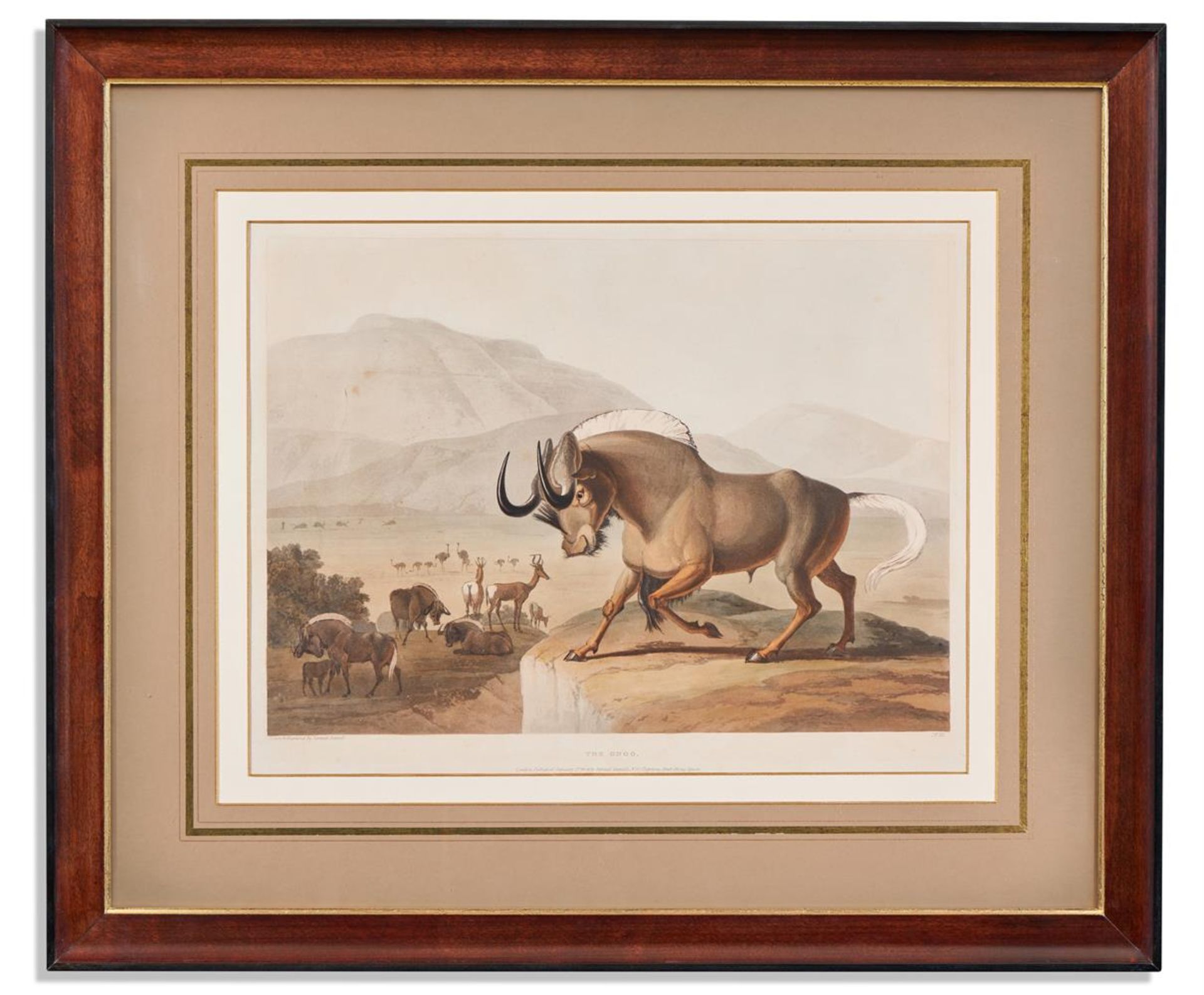 SAMUEL DANIELL (BRITISH 1775 - 1811), A SET OF FOUR AFRICAN ANTELOPES AND A RHINO (5) - Image 3 of 6