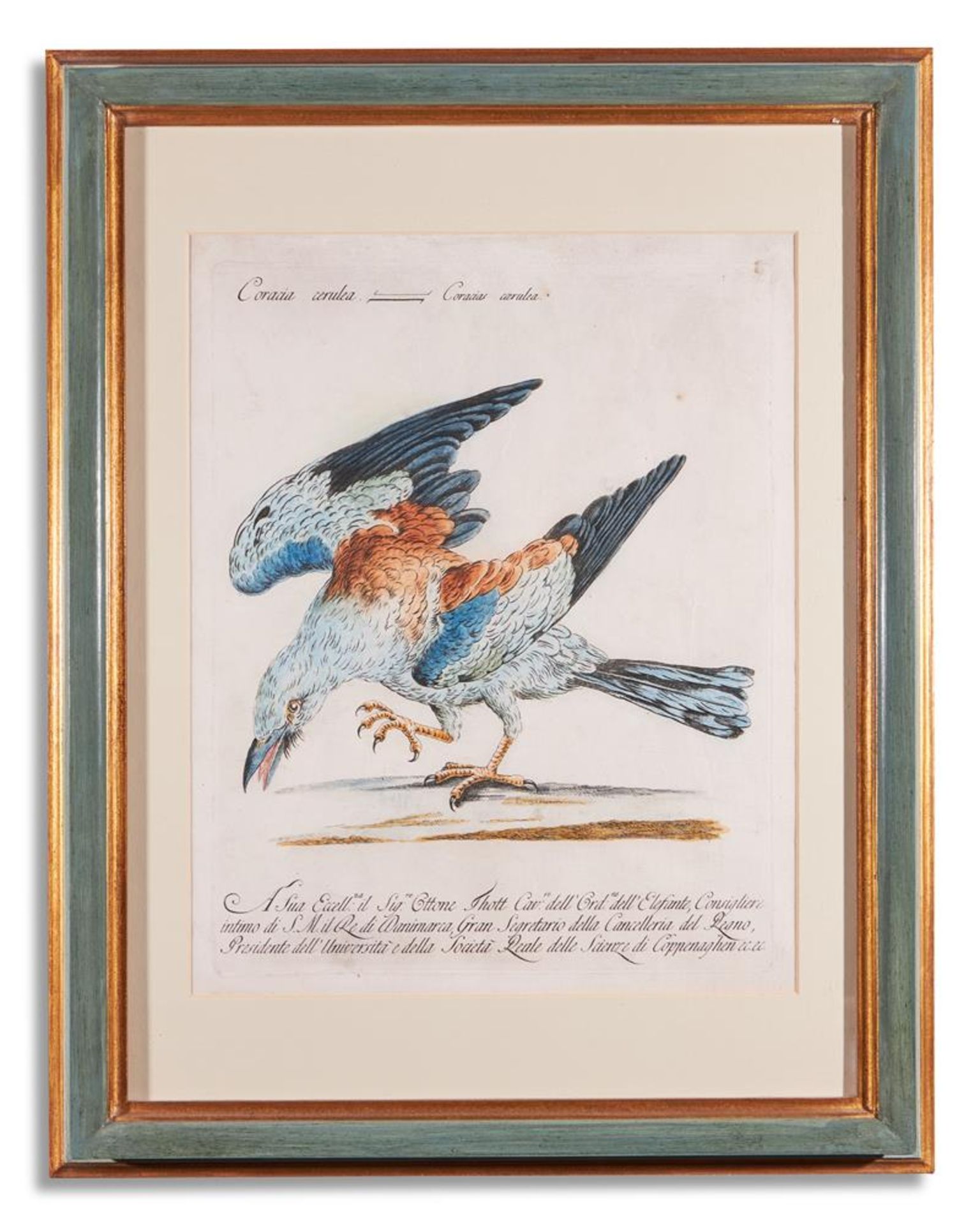 SAVERIO MANETTI (ITALIAN 1723 - 1784), TWELVE BIRDS FROM 'A NATURAL HISTORY OF BIRDS' - Bild 9 aus 12