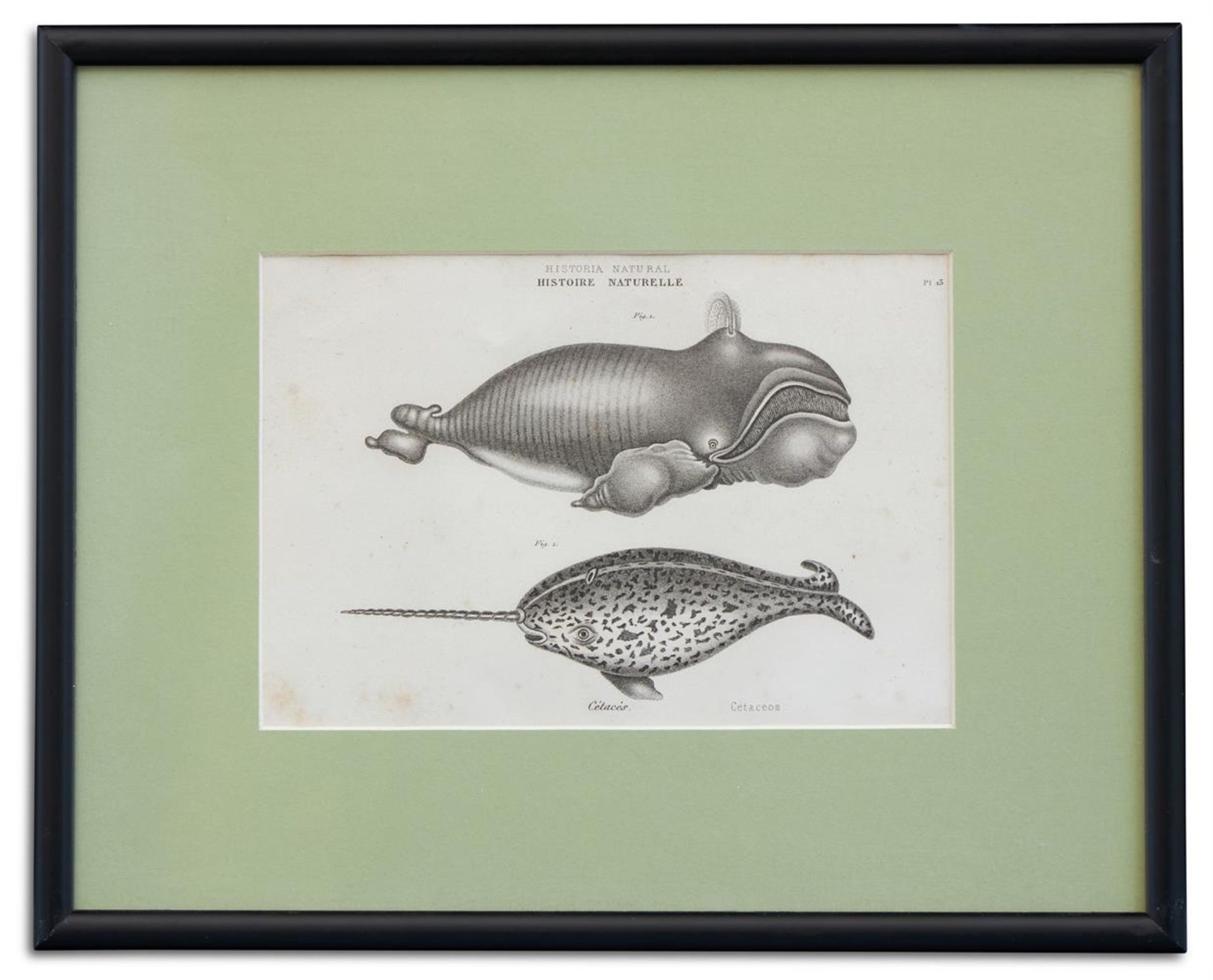 A COLLECTION OF WHALING COLOURED LITHOGRAPHS AND ETCHINGS (8) - Image 7 of 9
