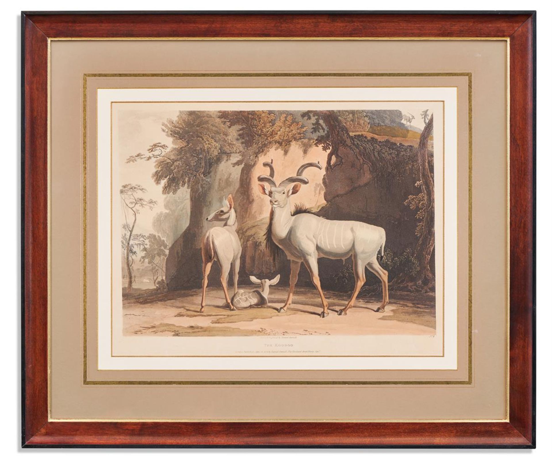 SAMUEL DANIELL (BRITISH 1775 - 1811), A SET OF FOUR AFRICAN ANTELOPES AND A RHINO (5) - Image 4 of 6