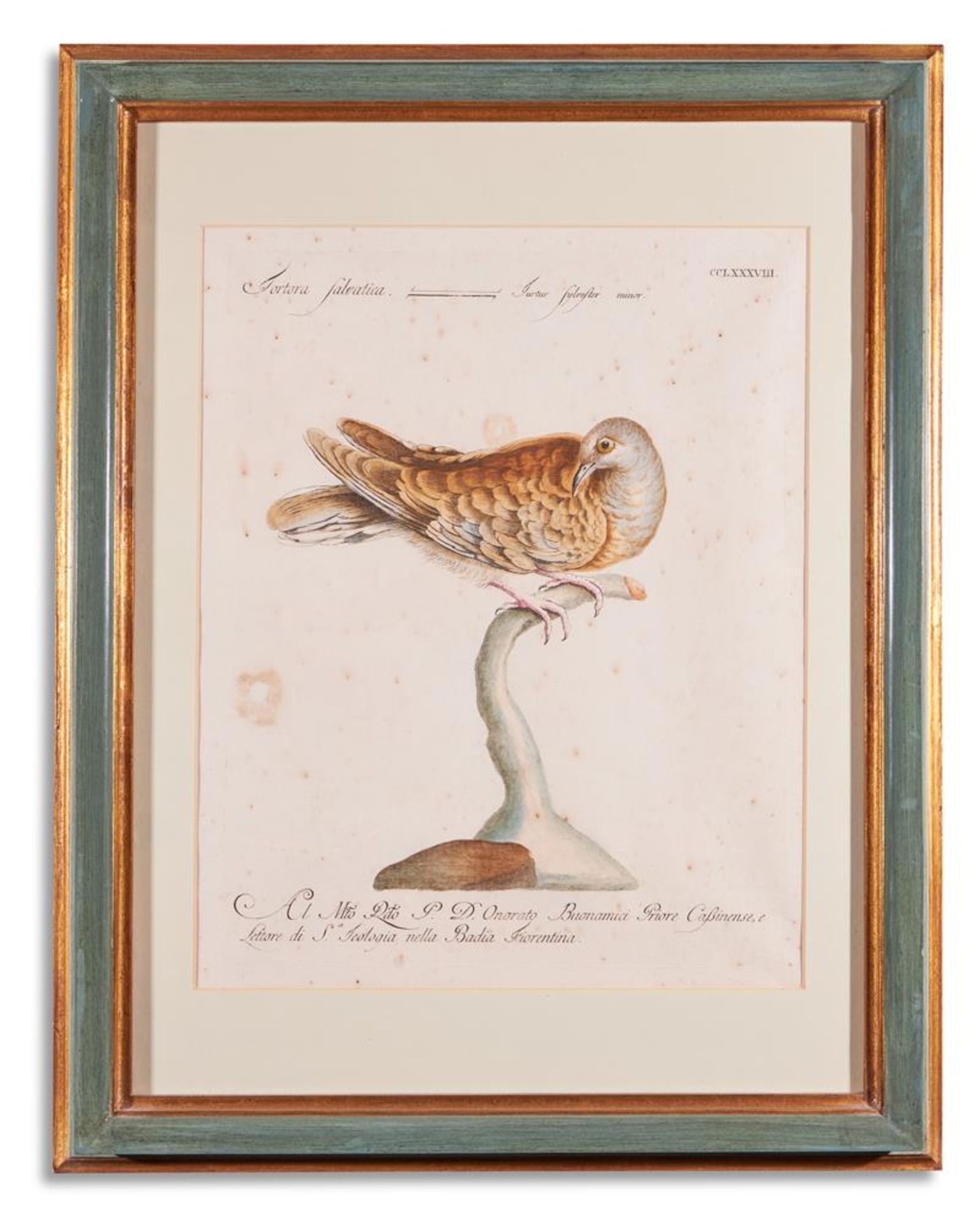 SAVERIO MANETTI (ITALIAN 1723 - 1784), TWELVE BIRDS FROM 'A NATURAL HISTORY OF BIRDS' - Bild 12 aus 12