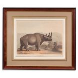 SAMUEL DANIELL (BRITISH 1775 - 1811), A SET OF FOUR AFRICAN ANTELOPES AND A RHINO (5)