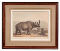 SAMUEL DANIELL (BRITISH 1775 - 1811), A SET OF FOUR AFRICAN ANTELOPES AND A RHINO (5)