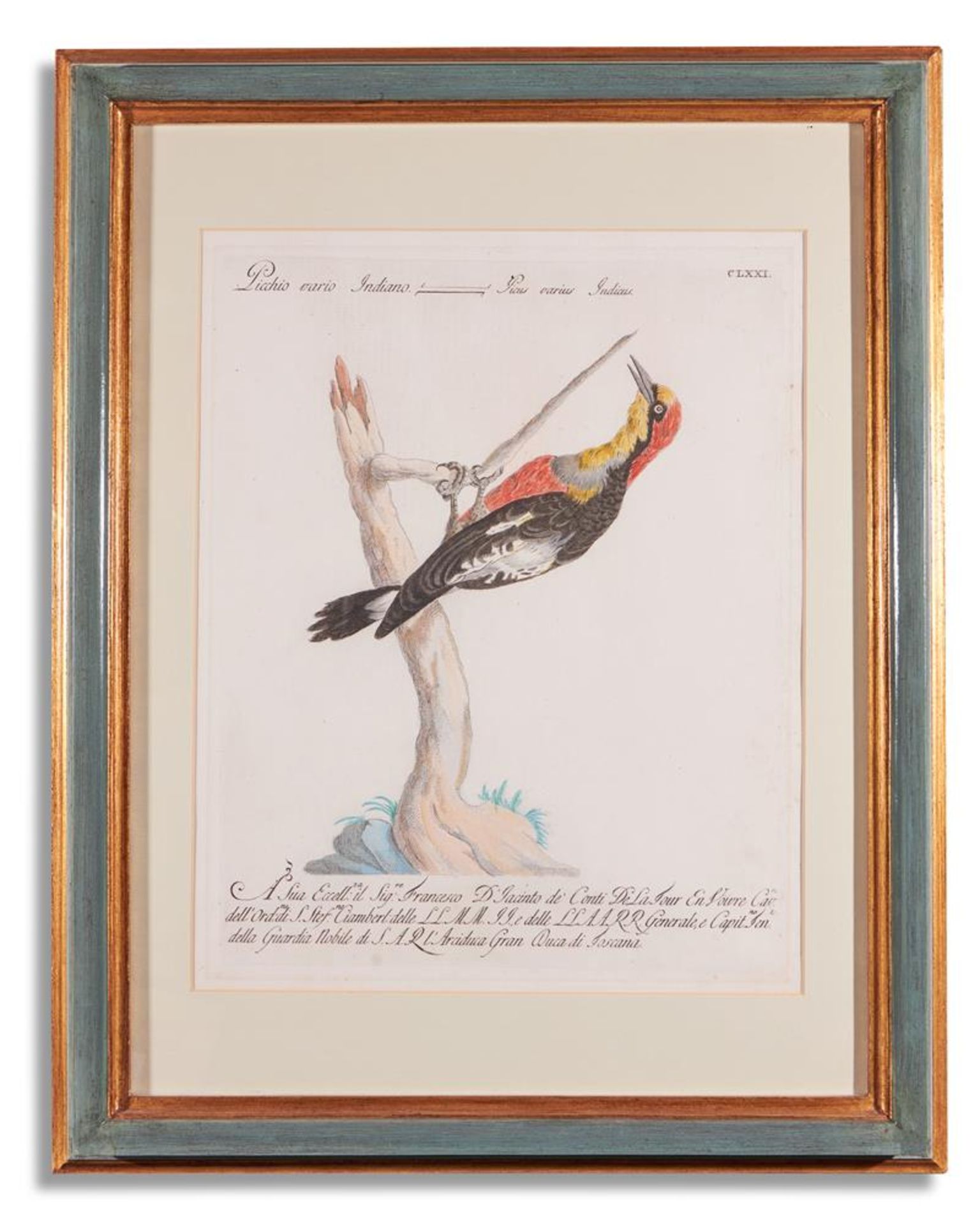 SAVERIO MANETTI (ITALIAN 1723 - 1784), TWELVE BIRDS FROM 'A NATURAL HISTORY OF BIRDS' - Bild 11 aus 12