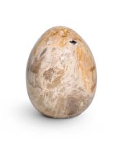 A POLISHED PETRIFIED WOOD EGG