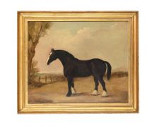 BRITISH SCHOOL (19TH CENTURY), A BLACK COB