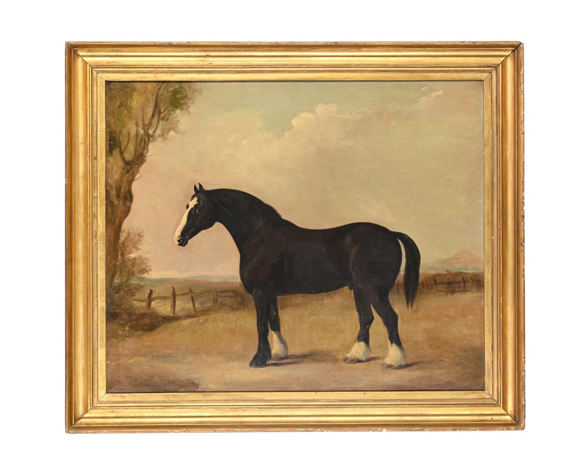 BRITISH SCHOOL (19TH CENTURY), A BLACK COB