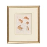 λ MILDRED E. ELDRIDGE (BRITISH 1909-1991), HARVEST MICE - MICROMYS MINUTUS