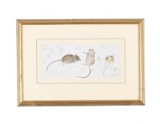 λ MILDRED E. ELDRIDGE (BRITISH 1909-1991), STUDIES OF HOUSE MOUSE