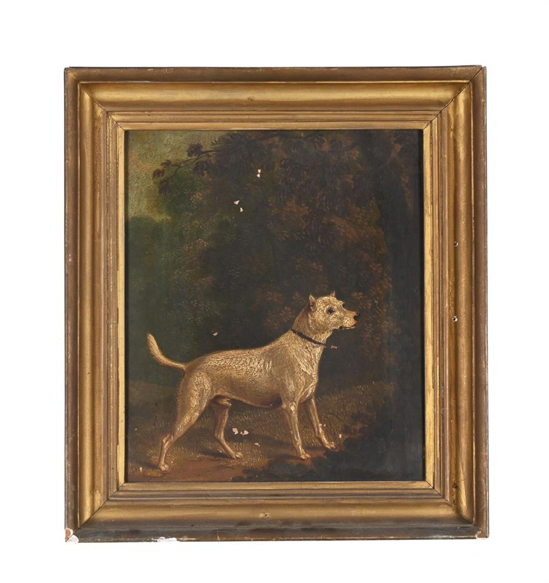 ENGLISH SCHOOL (19TH CENTURY), STUDY OF A TERRIER IN A LANDSCAPE